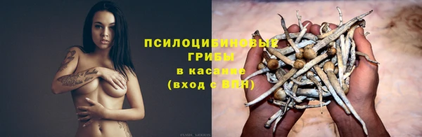тгк Арсеньев