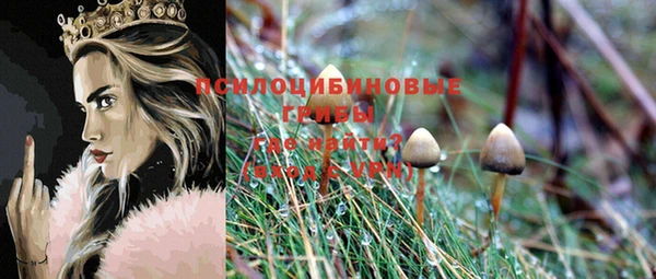 MESCALINE Аркадак