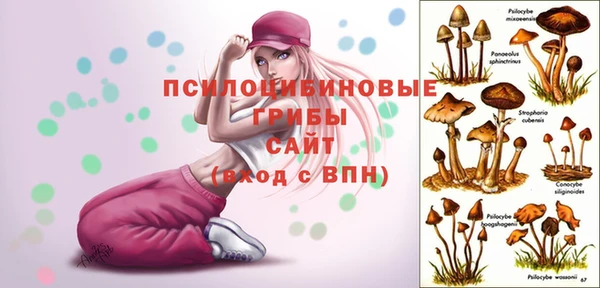 MESCALINE Аркадак