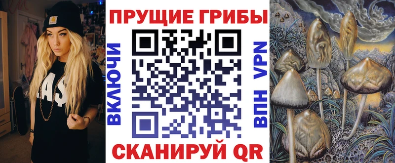 ссылка на мегу как войти  наркота  Таруса  Псилоцибиновые грибы Psilocybe 